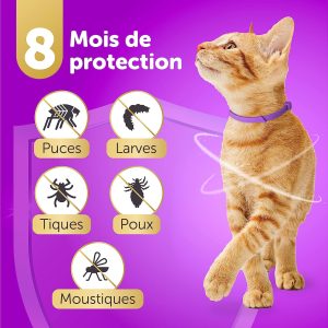 Collier Chat Ajustable – Traitement Anti-puces, Anti-Poux et Anti-tiques – Protection de Huit Mois – Imperméable – 33 cm – Violet – Toldi